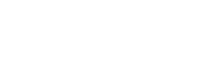 Carwiz