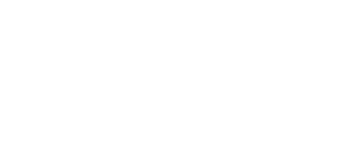 Sinpaş YTS